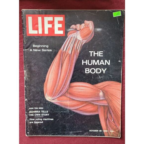 October 26, 1962 THE HUMAN BODY Beginning A New Series Life Newsstand Copy - Picture 1 of 9